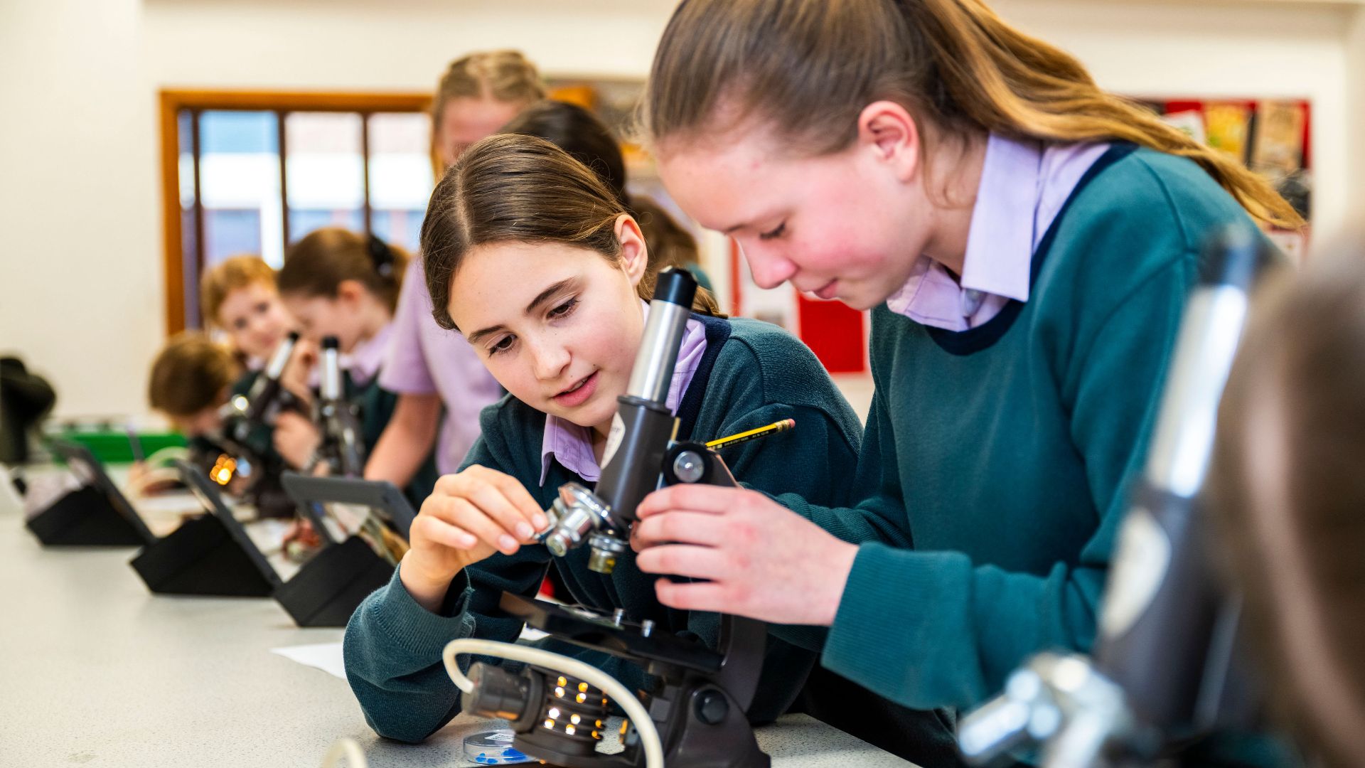 Senior students at Farnborough Hill School in an academic class.