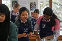 House MasterChef Delivers Delicious Results House MasterChef Delivers Delicious Results