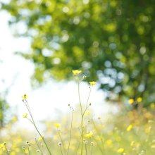 Each of Us is Willed, Loved, and Necessary: David Wells' Message to School Staff Each of Us is Willed, Loved, and Necessary: David Wells' Message to School Staff