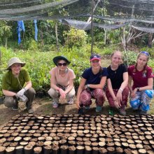 Sixth Formers Experience the Best of Borneo Sixth Formers Experience the Best of Borneo